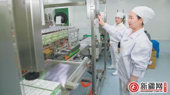 发挥劳模引领作用,传承工匠精神